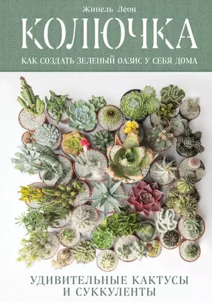 Колючка: как создать зеленый оазис у себя дома. Удивительные кактусы и суккуленты — 2713893 — 1