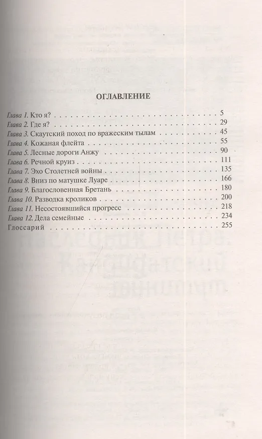 Книга Фебус. Принц Вианы: фантастический роман () — 2