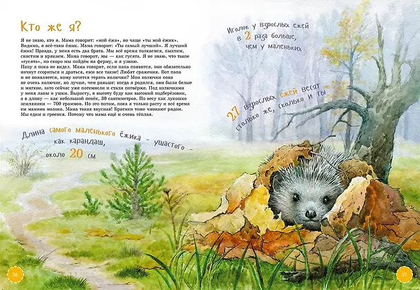 Книга Самые смелые животные. Энциклопедия (Майя Кучерская, Вениамин Смехов, Светлана Акулова) — 4