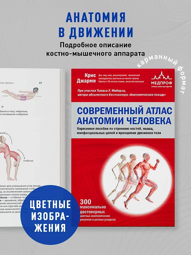 Книга Современный атлас анатомии человека. Карманное пособие по строению костей, мышц, миофасциальных цепей и принципам движения тела (Крис Джарми) — 5
