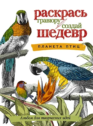 Книга Планета птиц ()