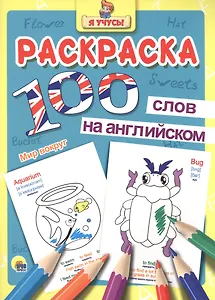 Раскраска Я учусь 100 слов на англ. мир вокруг