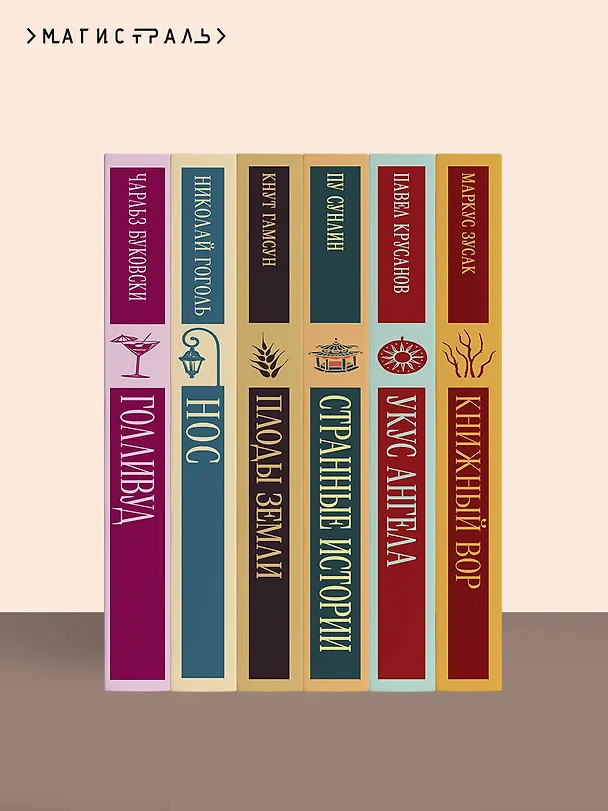 Книга Крейцерова соната (Лев Толстой) — 13