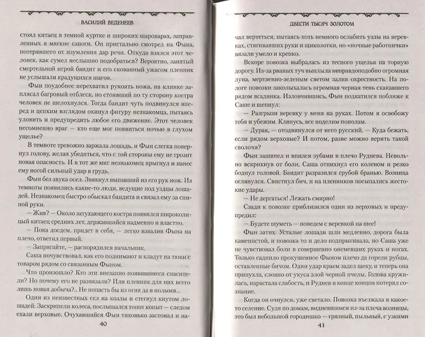 Книга Двести тысяч золотом (Василий Веденеев) — 5