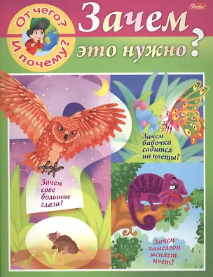 Книга От чего и почему? Зачем это нужно? (Марина Султанова)