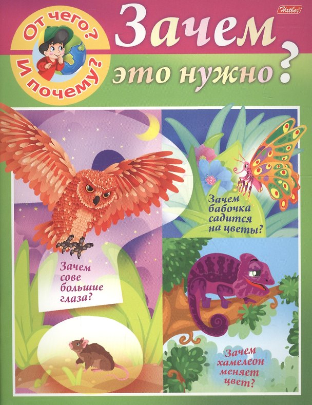 Книга От чего и почему? Зачем это нужно? (Марина Султанова) — 1