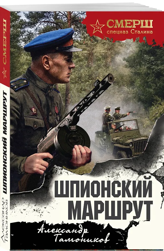 Книга Шпионский маршрут (Александр Тамоников) — 4