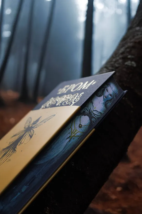 Книга Похититель детей (Джеральд Бром) — 10