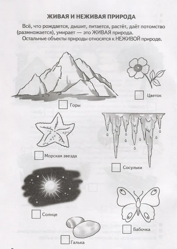 Книга Знакомимся с окружающим миром (5-6 лет) (Елена Бортникова) — 3