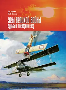 Асы Великой войны. Судьбы и последний след