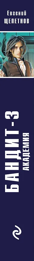 Книга Бандит-3. Академия (Евгений Щепетнов) — 4
