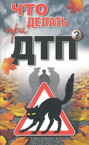 Что делать при ДТП? / (мягк). Николаев А. (Олма)