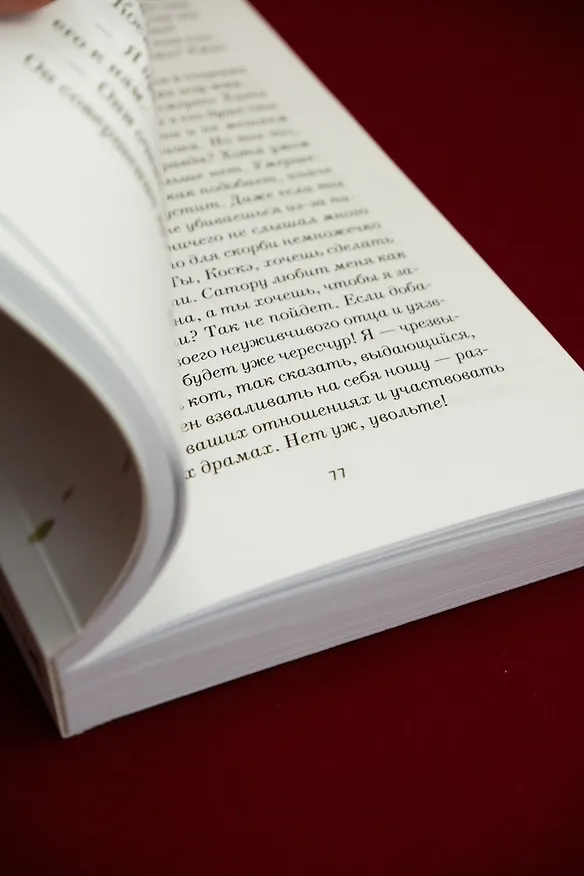 Книга Хроники странствующего кота (Хиро Арикава) — 15