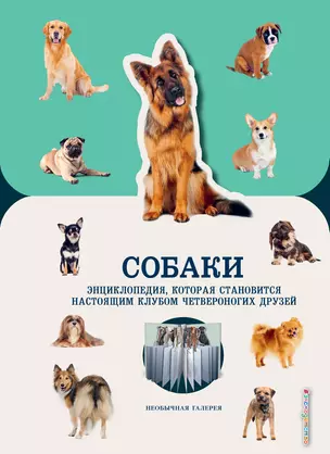 Собаки — 2781413 — 1