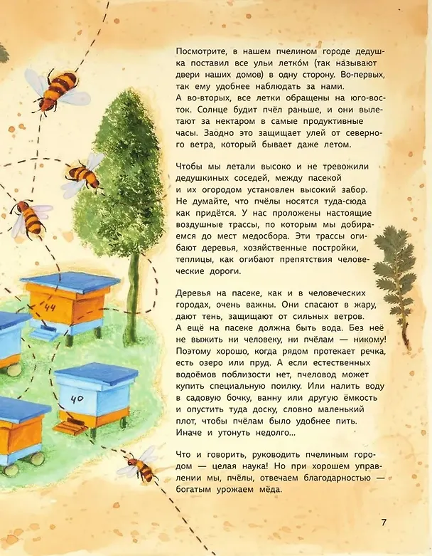 Книга Ж-ж-жизнь пчёл, рассказанная ими самими (Надежда Фещенко) — 9
