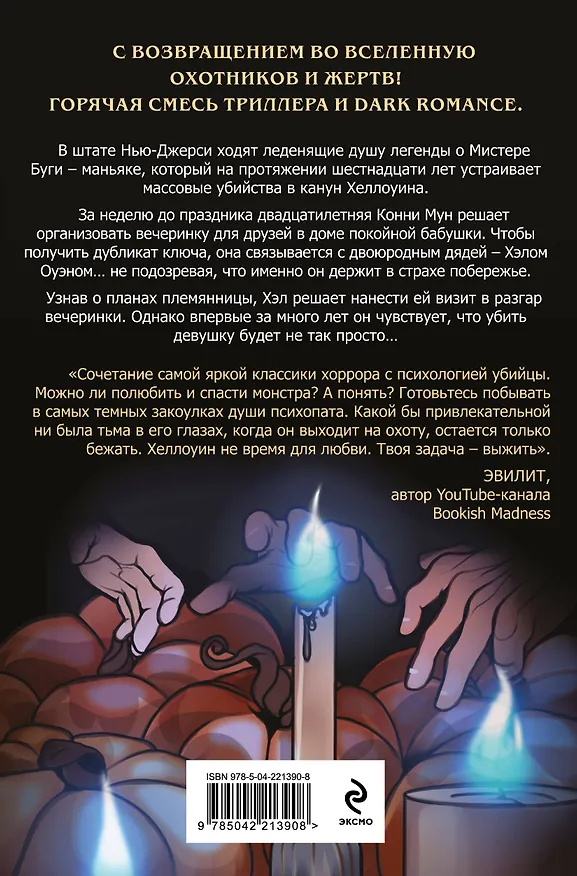 Книга Мистер Буги, или Хэлло, дорогая (#3) (Саша Хеллмейстер) — 2