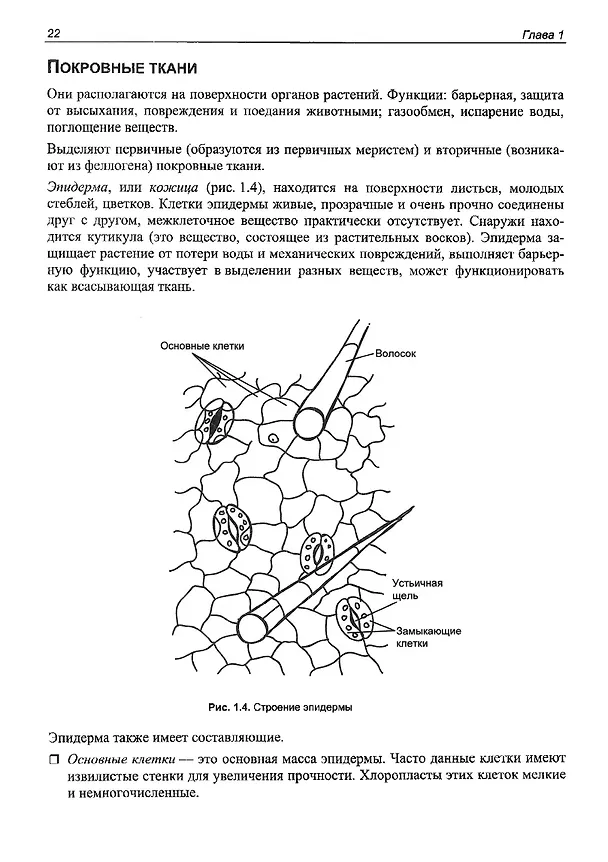 Книга ЕГЭ по биологии. Практическая подготовка (Дмитрий Соловков) — 19