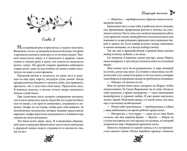 Книга Поцелуй железа (Клэр Сейджер) — 11