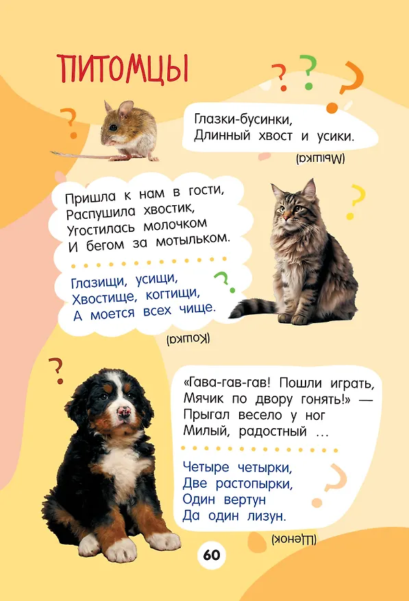 Книга 1001 загадка. 2-е издание (Катерина Добрая) — 14