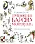 Приключения барона Мюнхгаузена (ил. А. Елисеева, послесловие М. Столярова) — 3122253 — 1