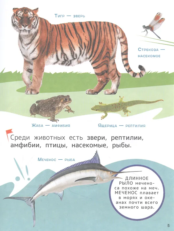 Книга Животные. Энциклопедия для первого чтения с крупными буквами (Лариса Клюшник, Светлана Гальцева) — 4