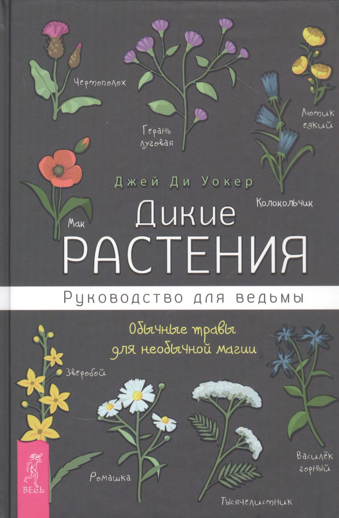 

Дикие растения: руководство для ведьмы. Обычные травы для необычной магии