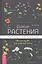 Дикие растения: руководство для ведьмы. Обычные травы для необычной магии — 2874184 — 1