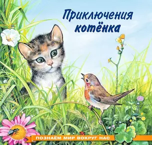 Приключения котенка — 2642725 — 1