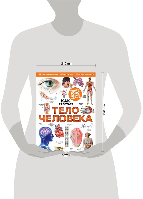 Книга Тело человека () — 5