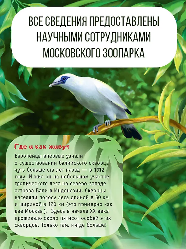 Книга Красная книга планеты для детей. Редкие и исчезающие виды дикой природы (Елена Мигунова) — 6