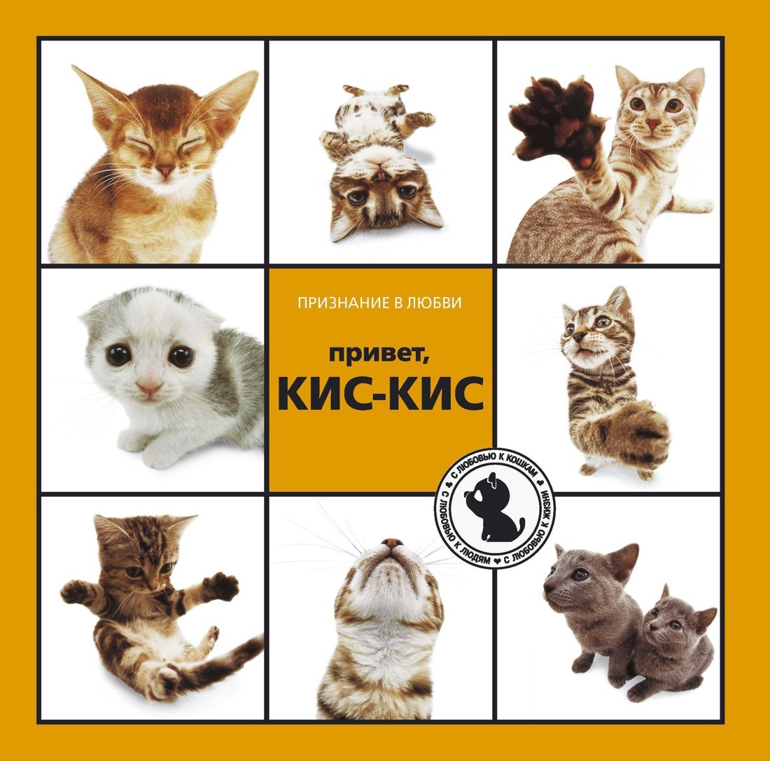 

Привет, КИС-КИС