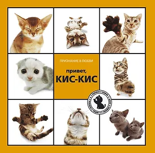 Книга Привет, КИС-КИС (Н.М. Галактионова)