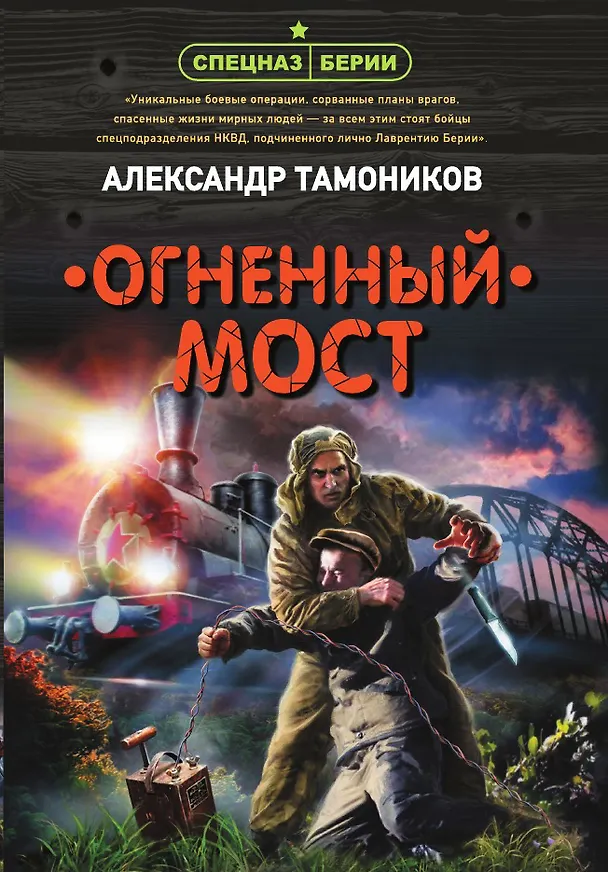 Книга Огненный мост (Александр Тамоников) — 1