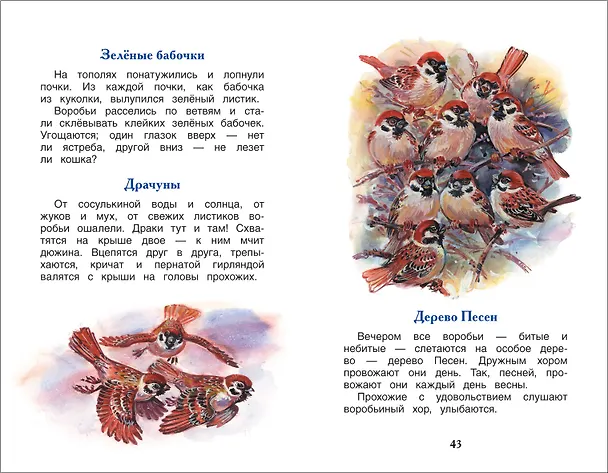 Книга Лесные сказки (Николай Сладков) — 5