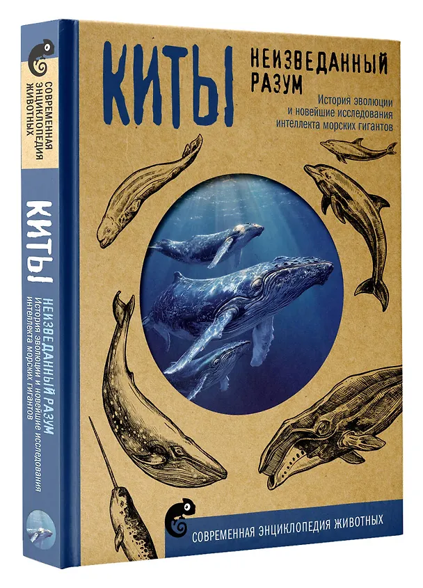 Книга Киты. Неизведанный разум. История эволюции и новейшие исследования интеллекта морских гигантов (Алексей Аскаров) — 4