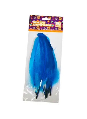 Набор д/творчества FANCY CREATIVE Перья для декорирования "МИКС-2" 10-15см 6шт в блист. FD030029 2395207