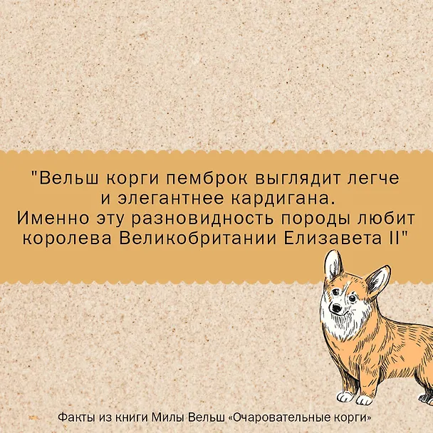 Книга Очаровательные корги: походка, которая вдохновляет! (Мила Вельш) — 5