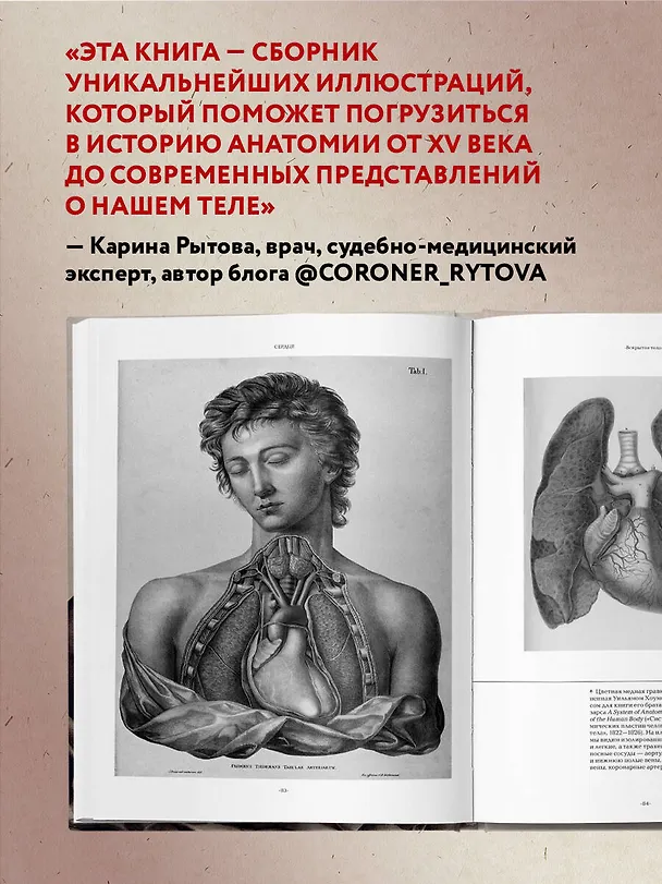 Книга Анатомика. От ужасного до великого: человеческое тело в искусстве (Джоанна Эбенштейн) — 8