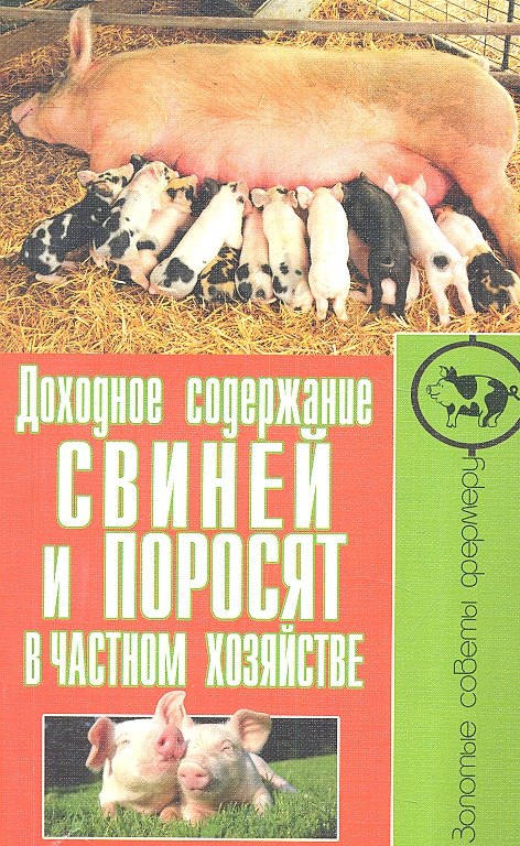 

Доходное содержание свиней и поросят в частном хозяйстве