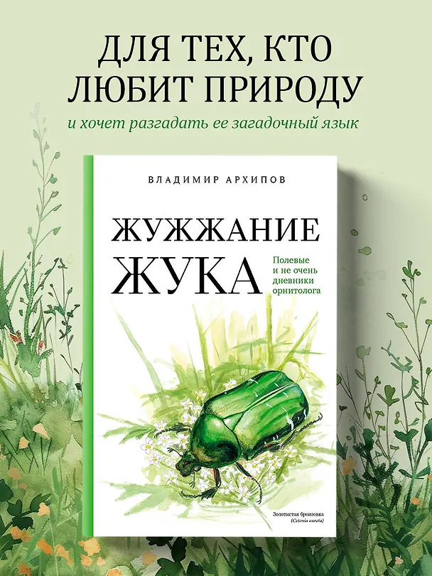 Книга Жужжание жука. Полевые и не очень дневники орнитолога (Владимир Архипов) — 5