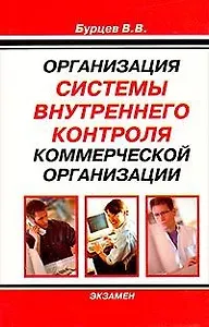 Организация системы внутреннего контроля коммерческой организации