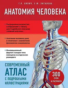 Анатомия человека. Современный атлас с подробными иллюстрациями