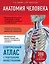Анатомия человека. Современный атлас с подробными иллюстрациями — 2896908 — 1