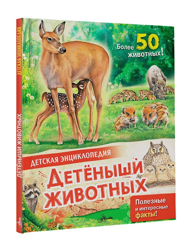 Книга Детеныши животных (Энн МакРей) — 4