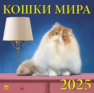 Календарь 2025г 300*300 "Кошки мира" настенный, на скрепке — 3053393 — 1