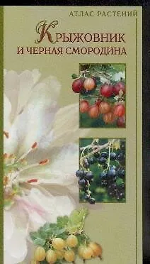 Книга Крыжовник и черная смородина (Анатолий Юшев)