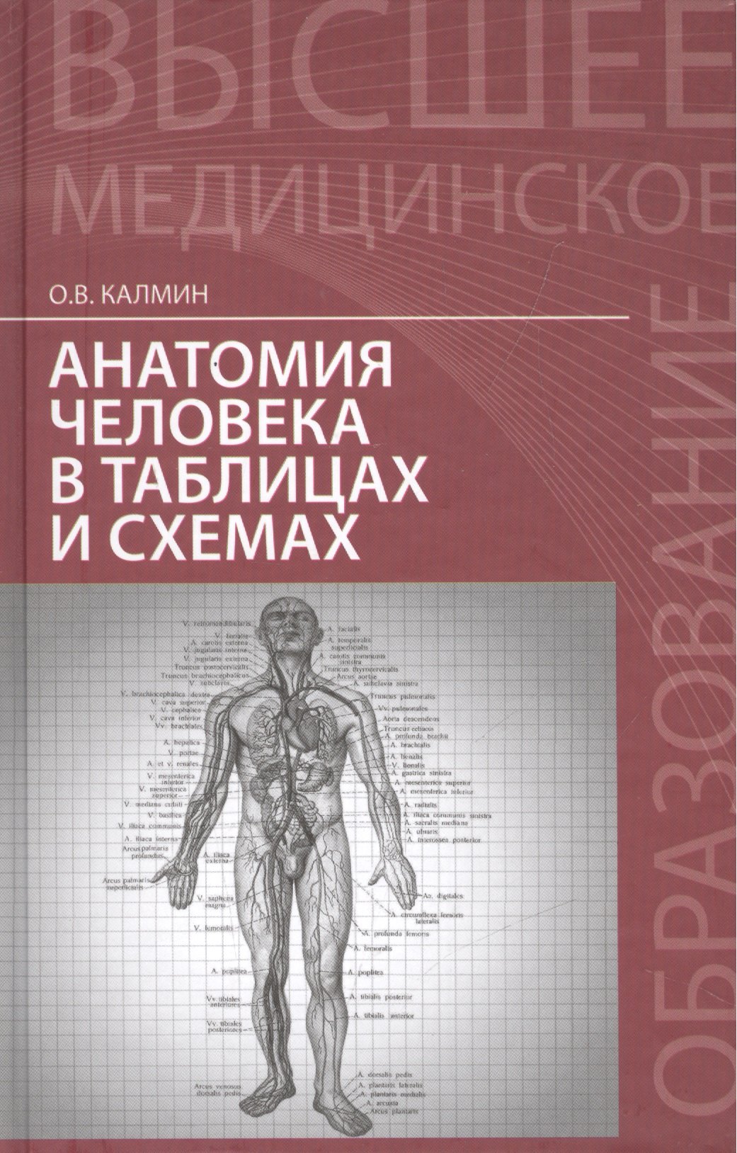 

Анатомия человека в таблицах и схемах: учеб. пособие