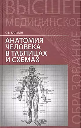 Анатомия человека в таблицах и схемах: учеб. пособие — 2496327 — 1