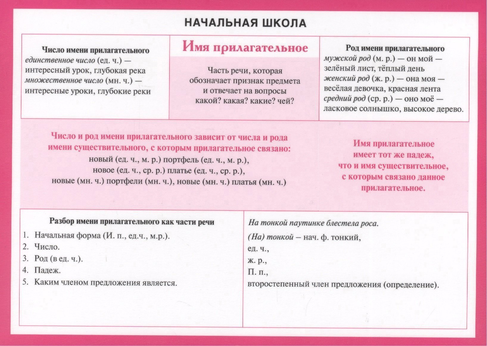 Начальная школа. Имя прилагательное. (Двухсторонняя карточка, ламинат)