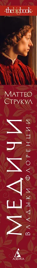 Книга Медичи. Владыки Флоренции (Маттео Струкул) — 3